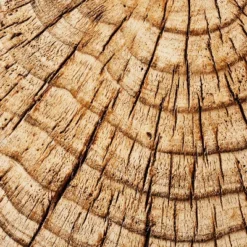 Indoor/Outdoor Faux Concrete Stump Accent Table Brown - Threshold™ Designed With Studio McGee -Modern Living Sales GUEST 03deabfd 2b62 4725 94b4 09a321ea8678