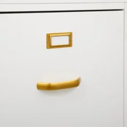 Dixie 2 Drawer Cabinet Green - Buylateral -Modern Living Sales GUEST 9e9469de 446f 4532 8c80 36462f11c814