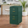 Dixie 2 Drawer Cabinet Green - Buylateral -Modern Living Sales GUEST cffd6f1a 3821 433e a721 80becbab625e